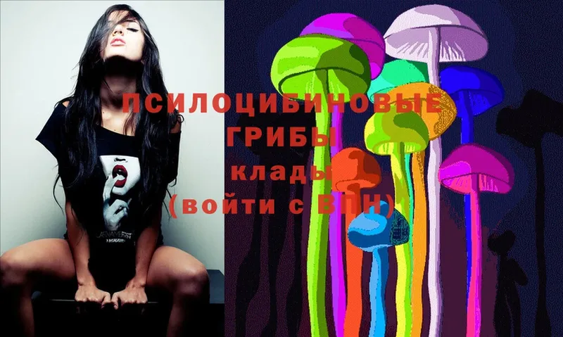 Галлюциногенные грибы MAGIC MUSHROOMS  hydra рабочий сайт  Магадан 